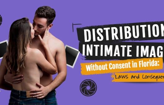 Distribution of Intimate Images Without Consent in Florida